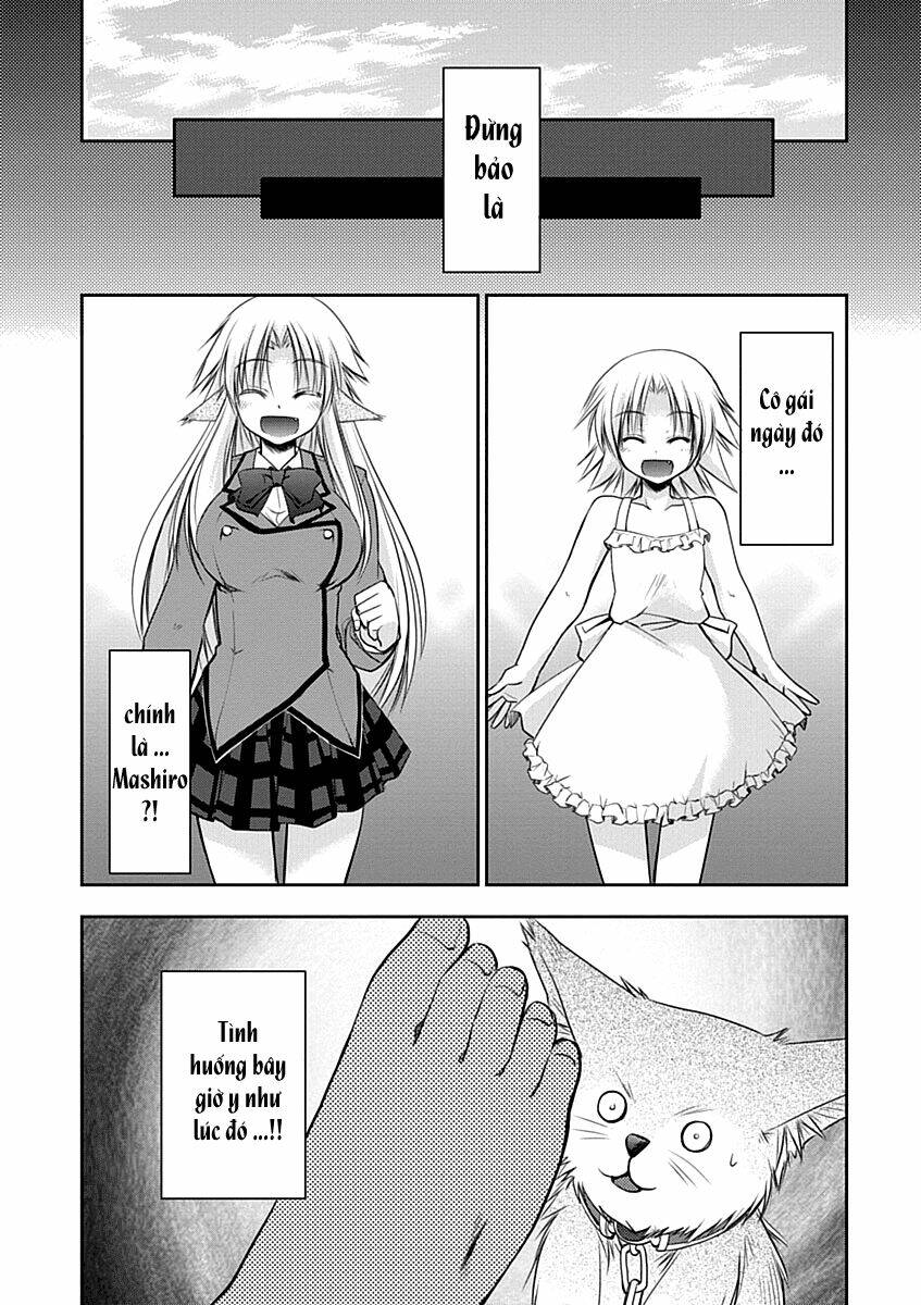 perowan! - hayaku shinasai! goshujin-sama chapter 10 15