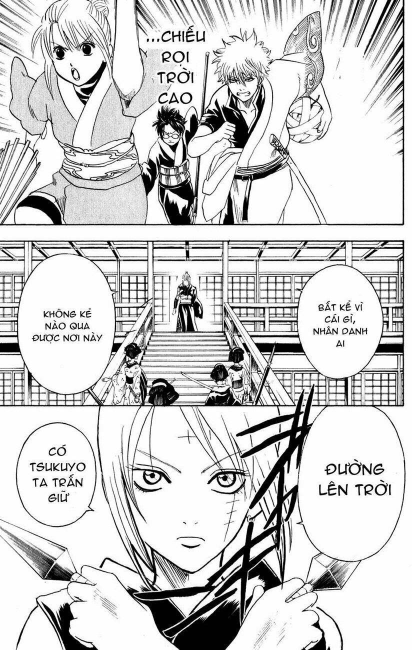 gintama - linh hồn bạc chapter 216 17