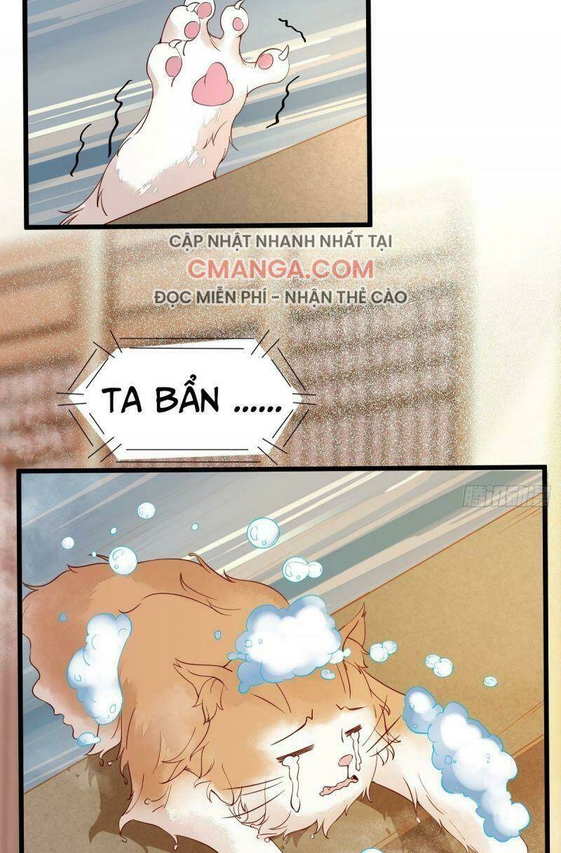 sát thủ vương phi không dễ chọc chapter 41 3