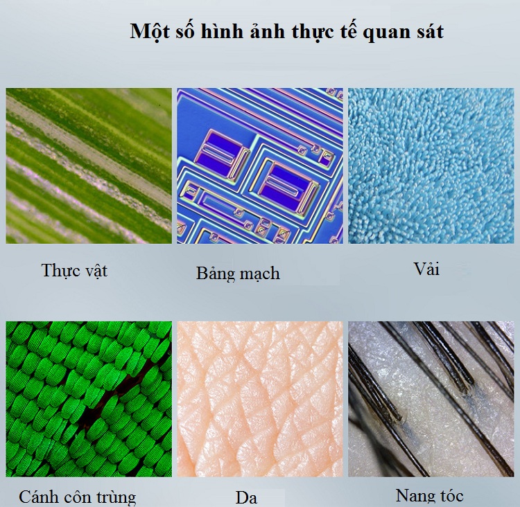 Kính hiển vi soi côn trùng có đèn led kết nối không dây qua wifi phóng đại 1000X thông minh