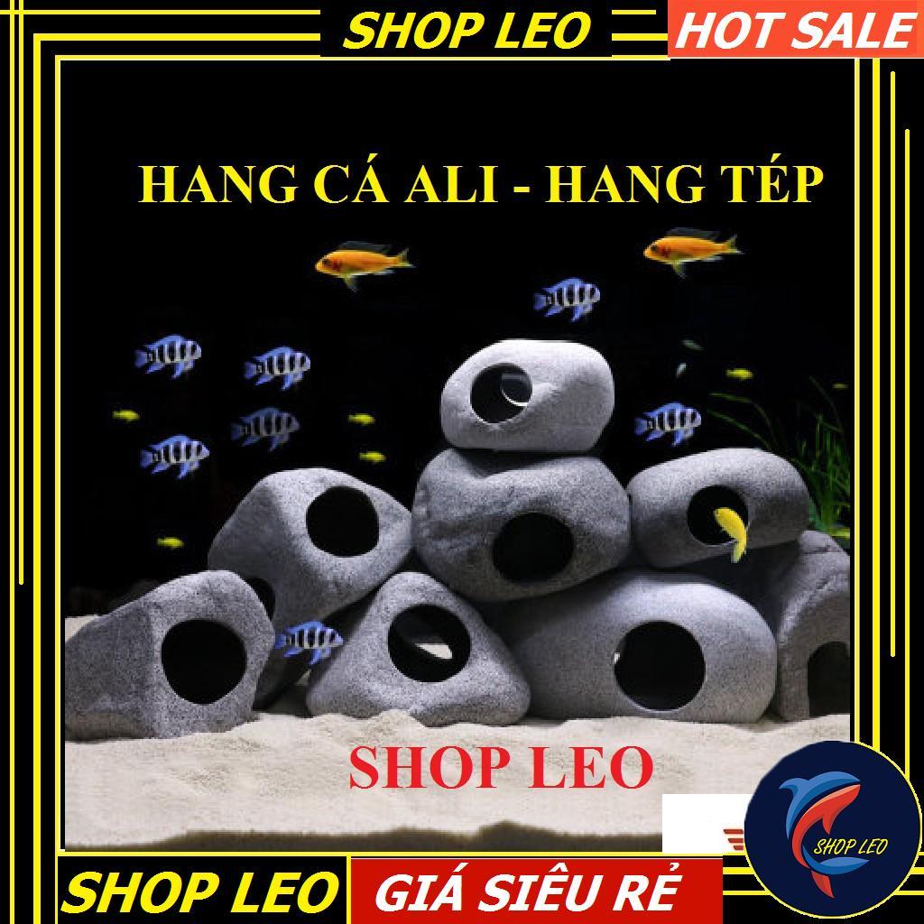 Hang cá ali - hang pleco - trang trí bể tép - bể thủy sinh - hồ cá cảnh