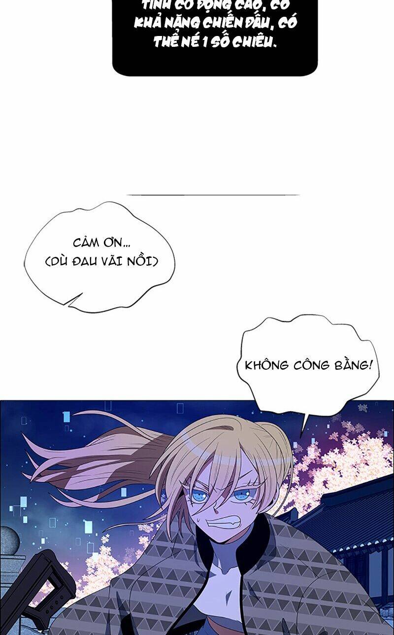 no scope chapter 96 33