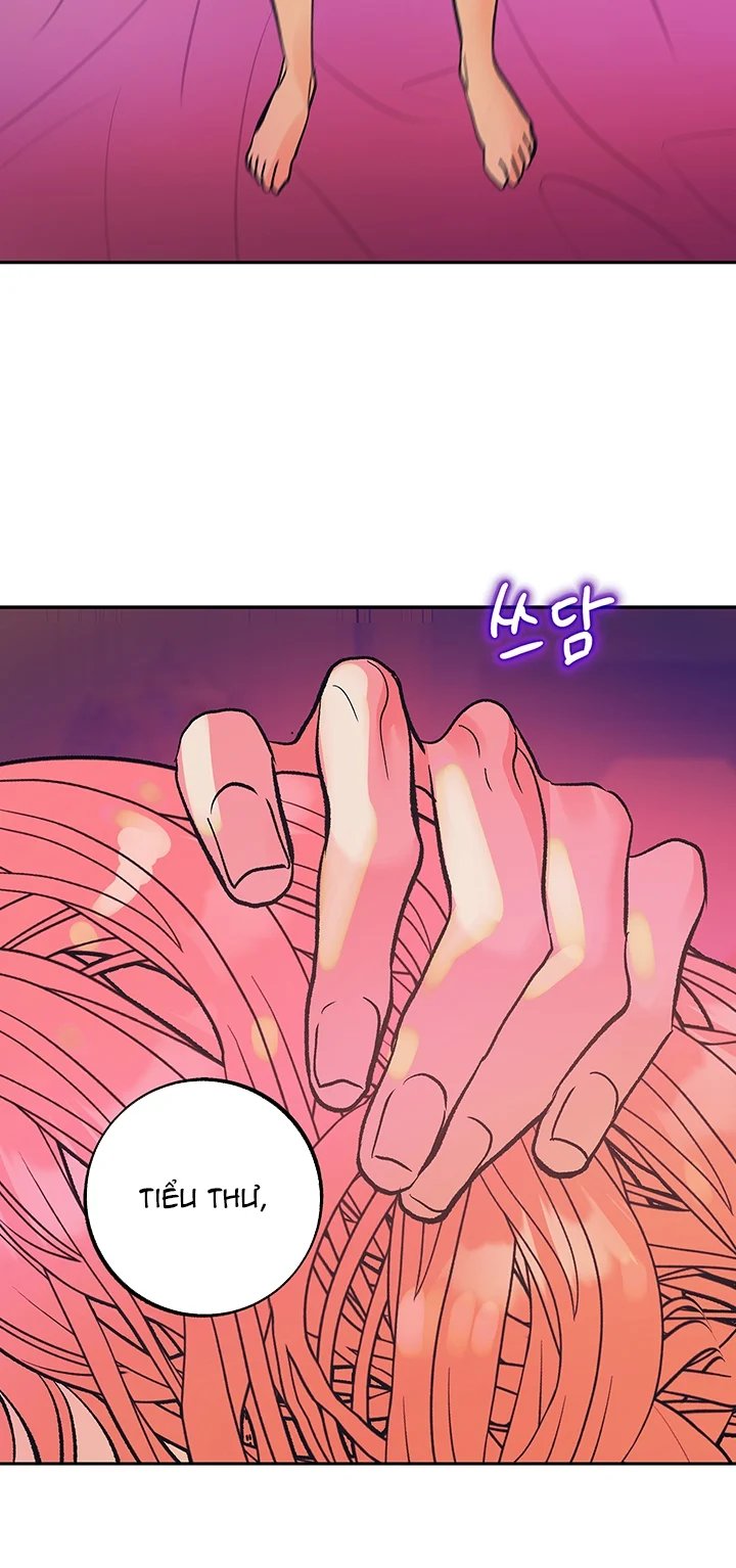 giấc mộng đêm hè chapter 8 17