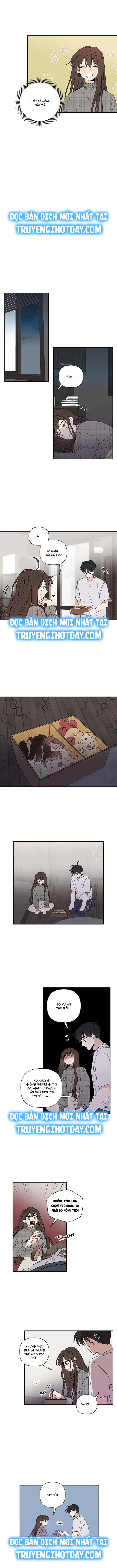 hương vị năm mới chapter 12 2