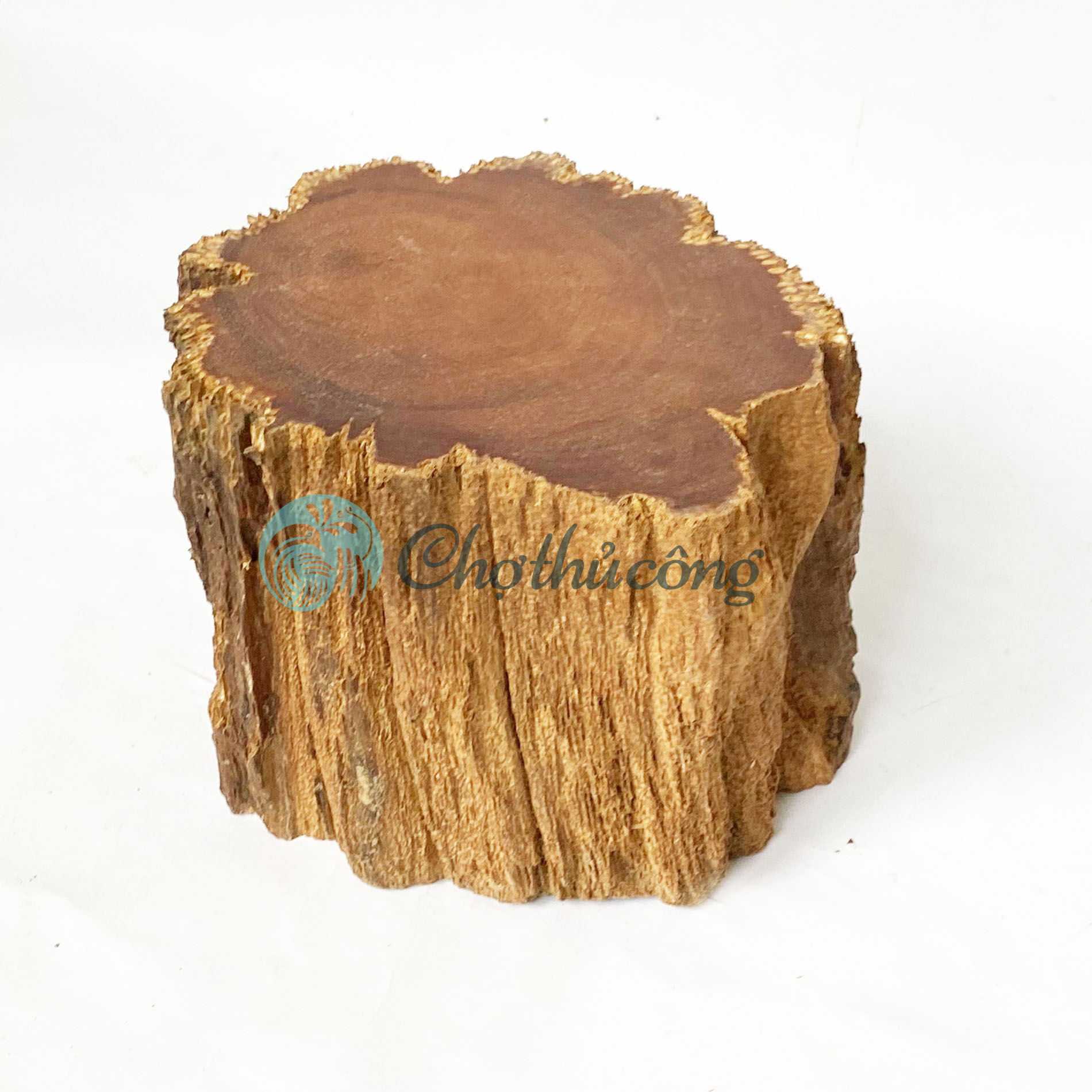 Đôn gỗ kê tượng phật, đôn để chậu cây - Ghế đôn gỗ lũa, kệ gỗ để tượng decor, khoanh gỗ tự nhiên