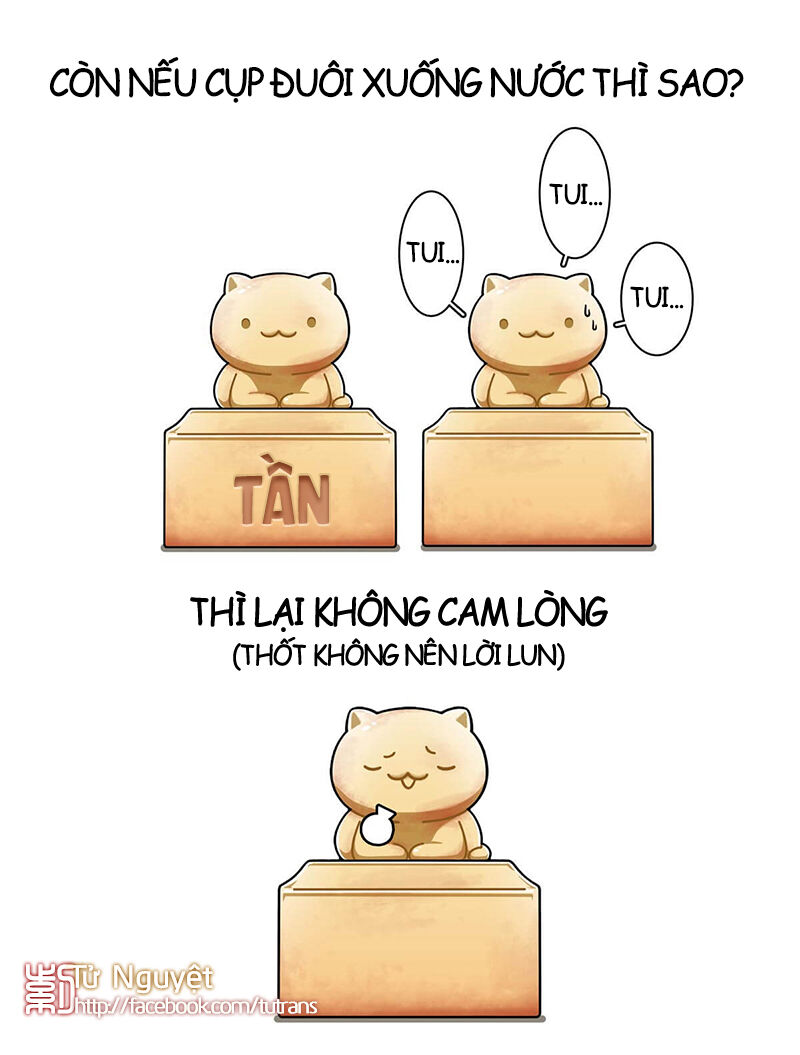 nếu lịch sử là một bầy mèo chapter 21 8