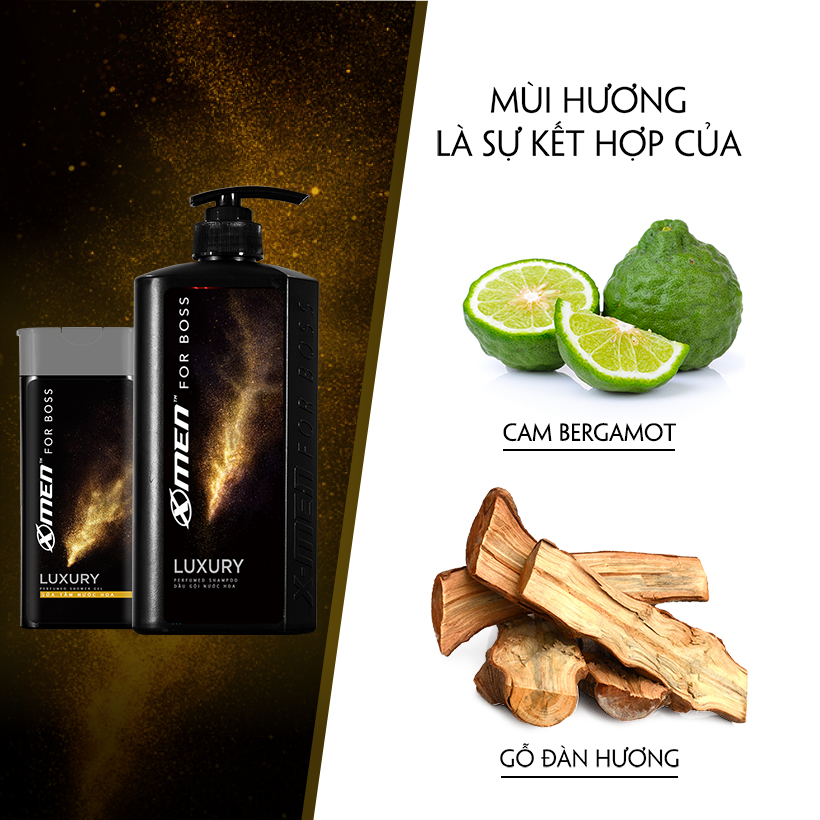 Combo Dầu gội nước hoa X-Men for Boss Luxury 650g + Sữa tắm nước hoa X-Men for Boss Luxury 180g