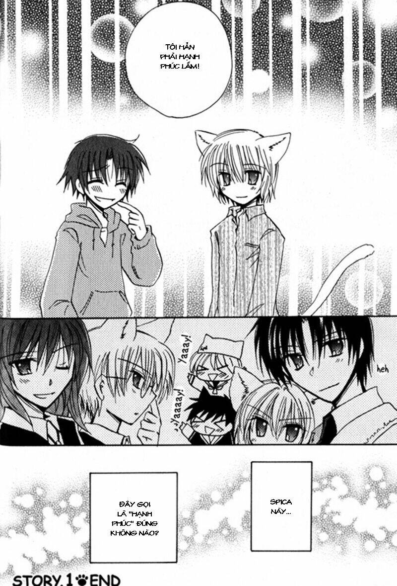 boku x neko? chapter 1.2 16