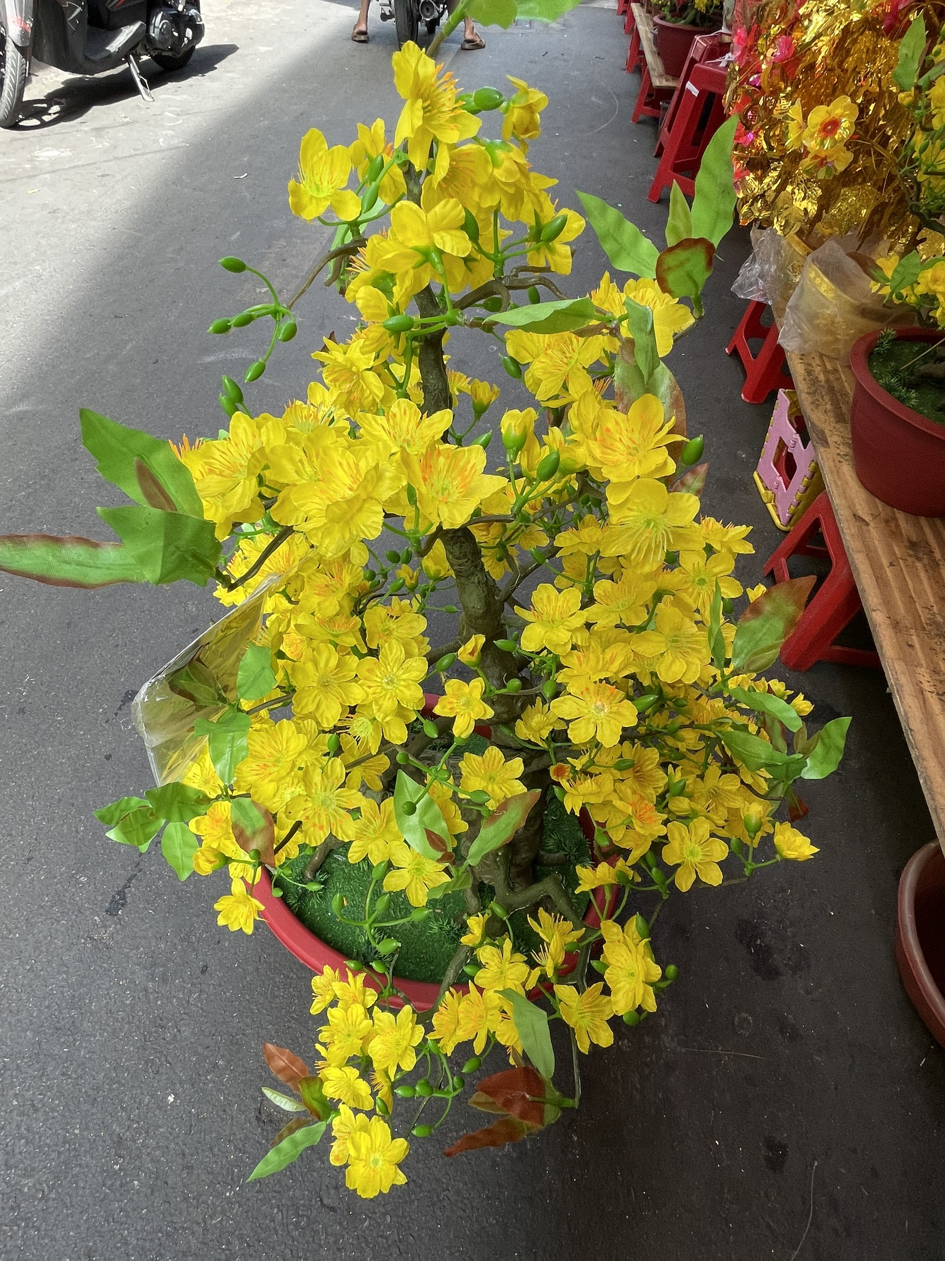 Cây Hoa Mai Bonsai Nhựa Cao 92 cm Hoa Mai Trang Trí Tết