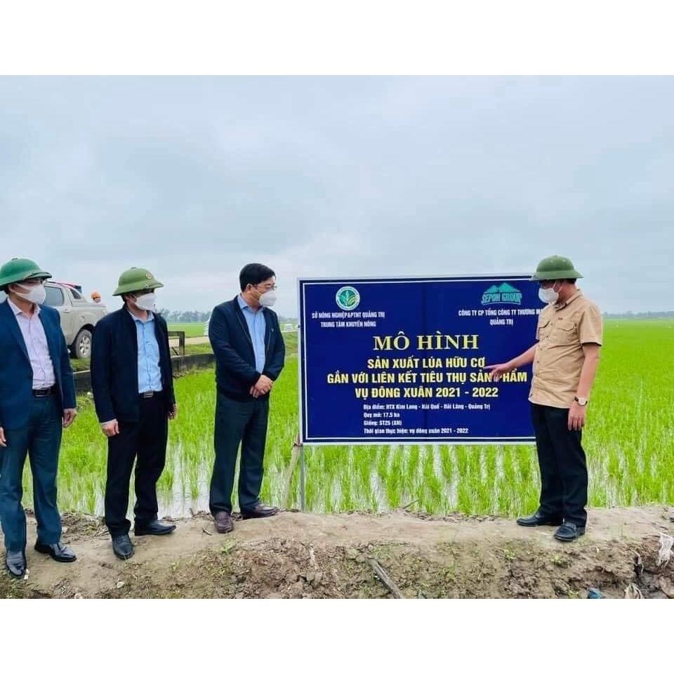 Gạo VIETGAP SEPON - Giống ST25- Gạo ngon nhất thế giới . 5kg