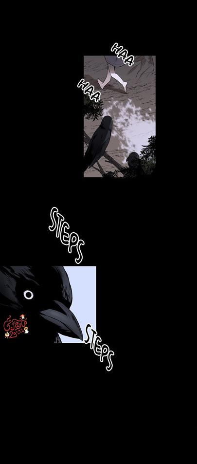 loài chim không bay chapter 1 3