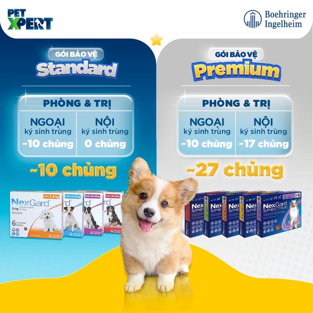 1 viên NexGard Spectra xổ giun, diệt ghẻ, ve rận, bọ chét