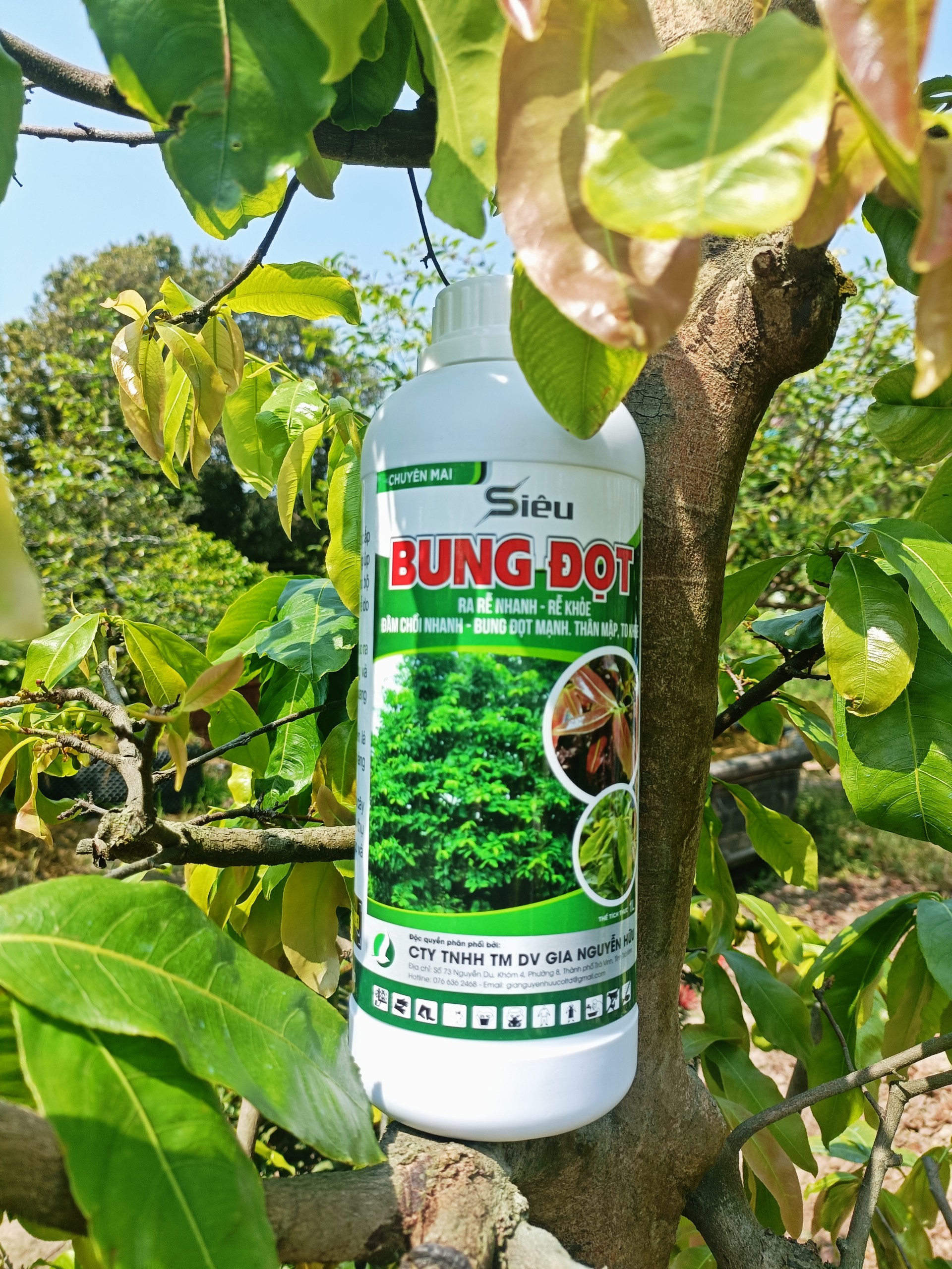 SIÊU BUNG ĐỌT GIÚP CÂY RA RỄ, ĐÂM CHỒI NHANH, BUNG ĐỌT MẠNH CHAI 1 LÍT