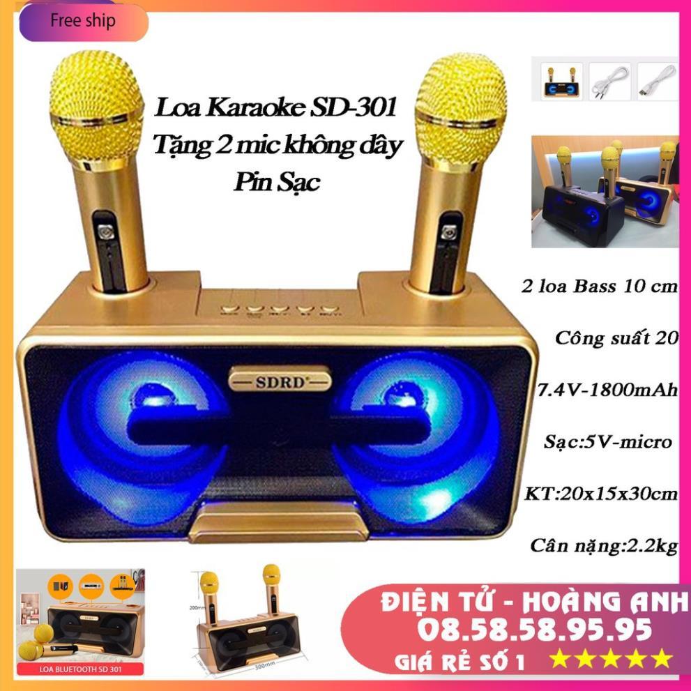 Loa Karaoke SD 301 - SD 306 - SD 309 Kèm 2 Micro Không Dây tích hợp bluetooth 4.0 - usb - thẻ nhớ