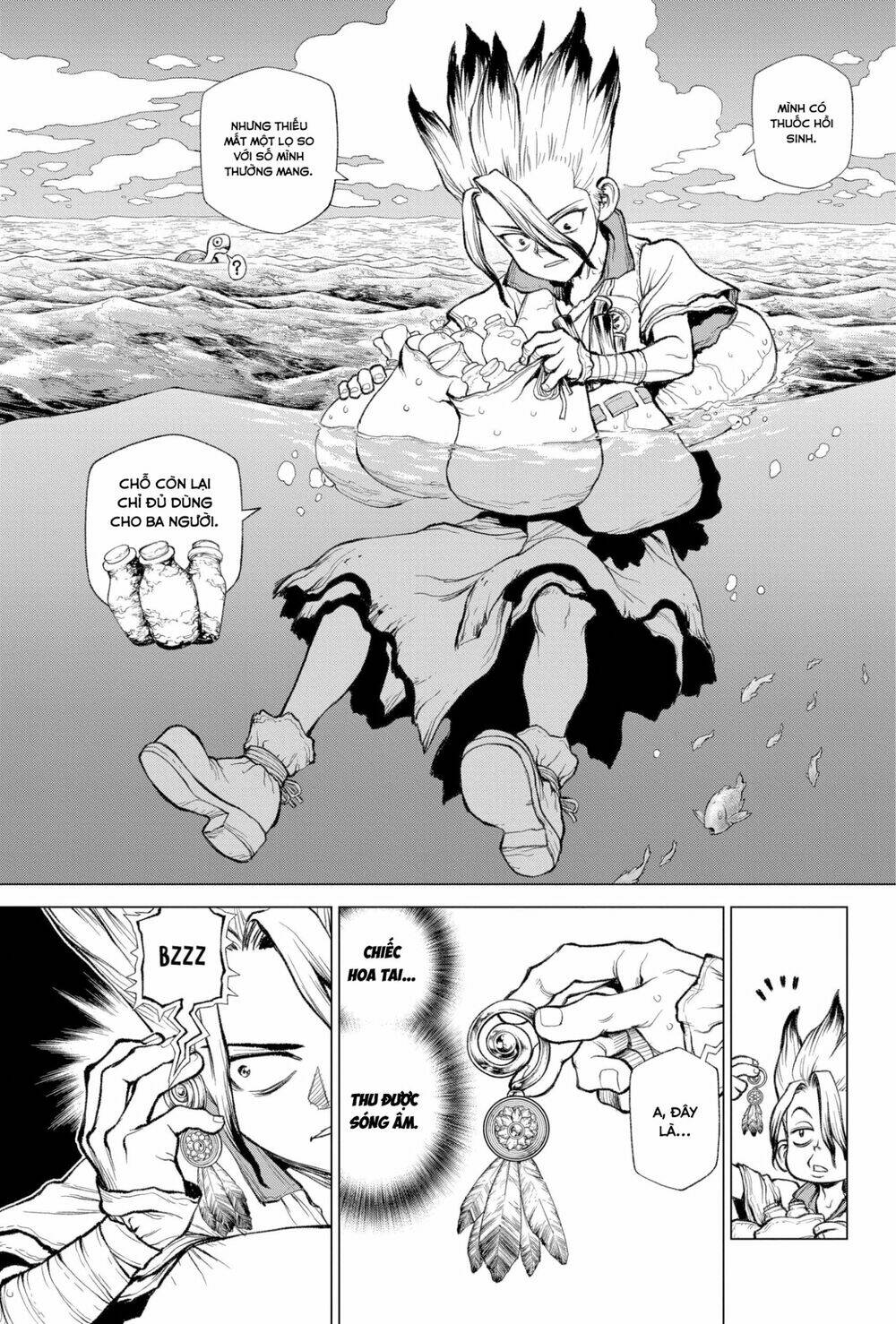 dr.stone - hồi sinh thế giới chapter 232.6 9