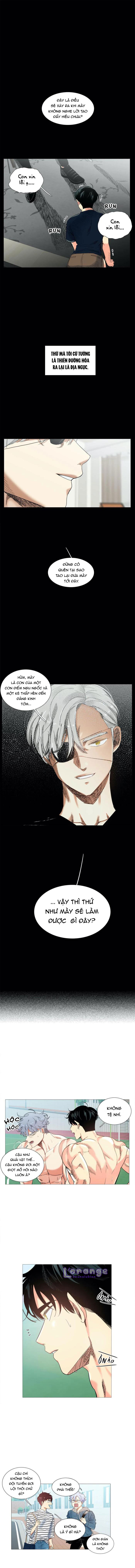 hôm nay lại là một ngày nắng ấm chapter 31 2