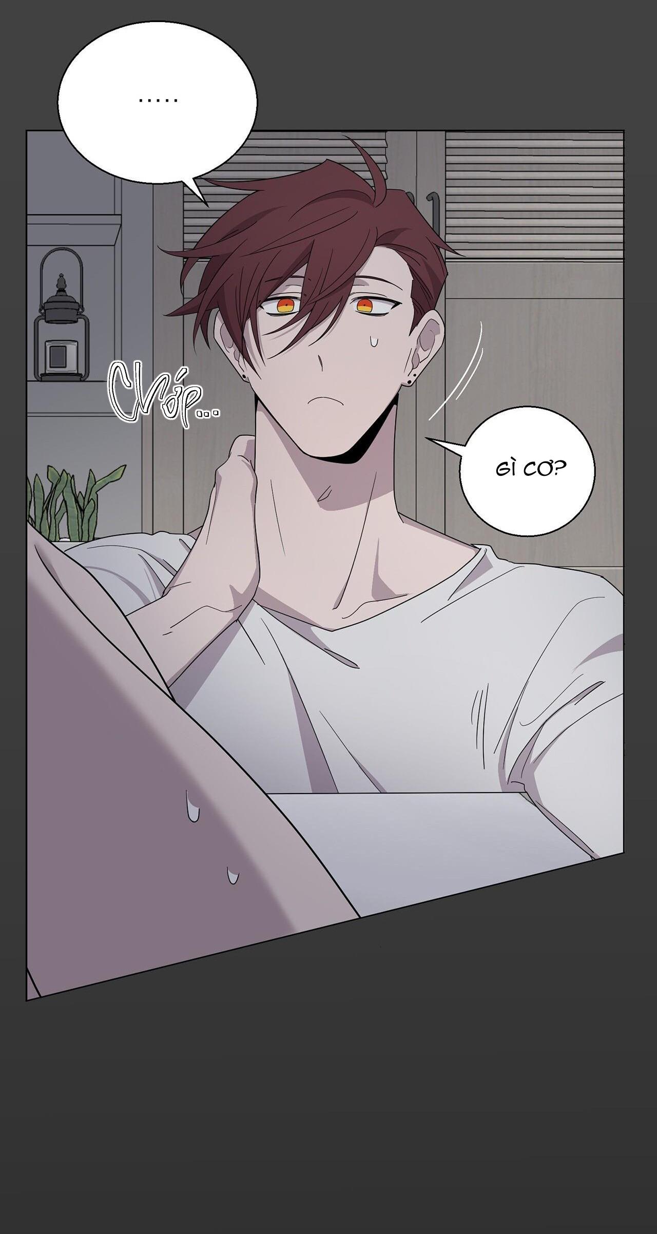 khi chim thước đến chapter 4 15