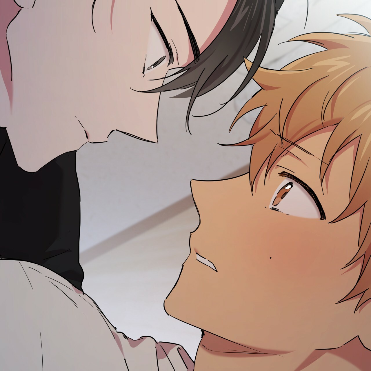 những chú thỏ của hapypy chapter 15 2