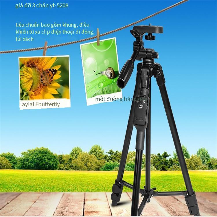 Phong cách mới nhất Yunteng 5208L phiên bản nâng cấp điện thoại di động giá đỡ điều khiển từ xa Bluetooth chân máy trực tiếp chân máy ảnh selfie di động