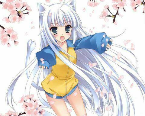 ảnh loli moe chapter 5 7