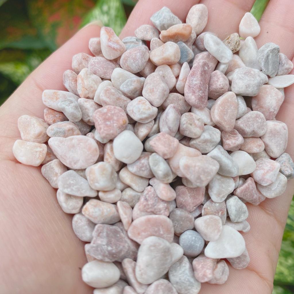 Sỏi màu rải chậu cây để bàn bịch chiết 1kg