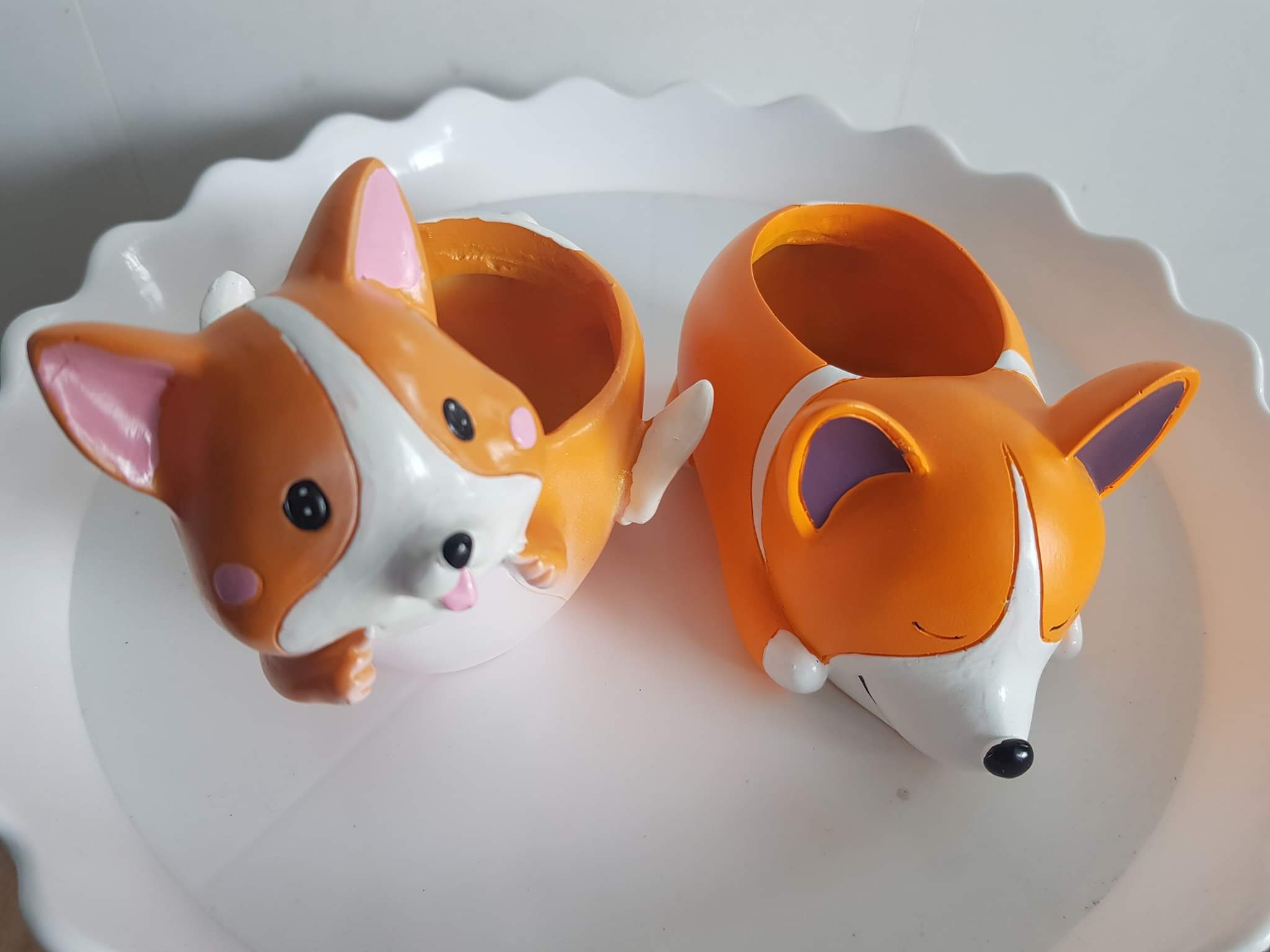 Chậu Tượng Tiểu Cảnh Thú Kute Mini