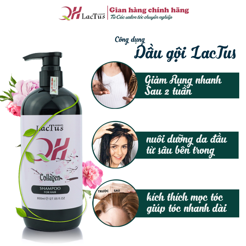 Lẻ Dầu gội đầu lactus season giảm nhanh tóc gãy rụng, sạch sâu da đầu giảm gàu, dầu thừa và bã nhờn nuôi dưỡng chân tóc