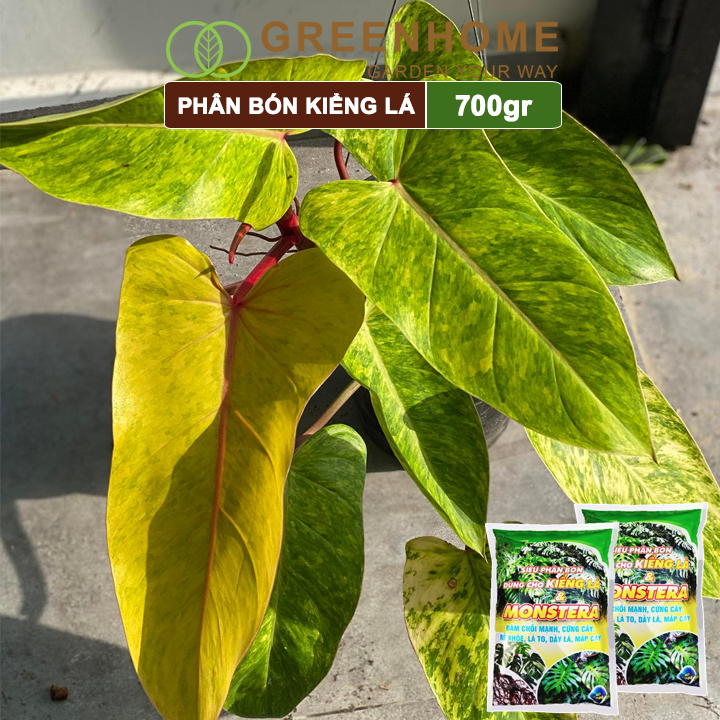 Phân Bón Cây Kiểng Lá Greenhome, Bao 700gr, Trầu Bà Monstera, Cây Nội Thất, Giúp Đâm Chồi Mạnh, Rễ Khoẻ, Lá To