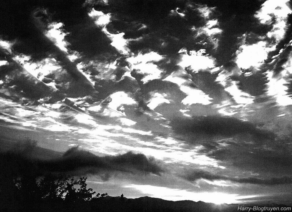 elfen lied chapter 107 27