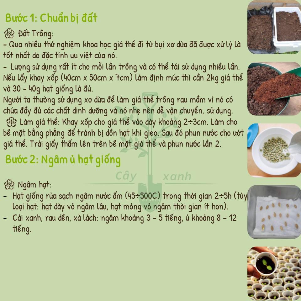 Hạt Giống Rau Mầm Cải Ngọt 30Gr Giàu Dinh Dưỡng - Phú Nông Seeds - Shop Đất sạch, Phân Bón, Hữu Cơ, Xơ Dừa