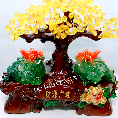 CÓC THIỀM THỪ KIM TIỀN