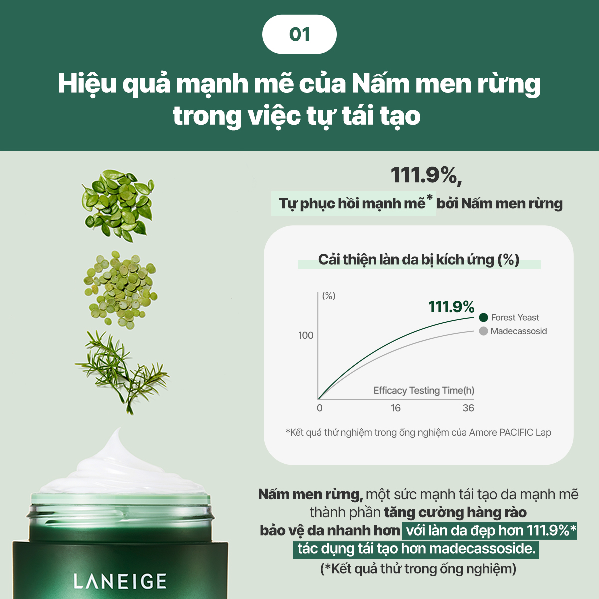 Mặt Nạ Ngủ Phục Hồi Laneige Cica Sleeping Mask