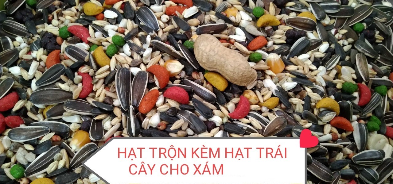500G HẠT TRỘN KÈM HẠT TRÁI CÂY CHO DÒNG VẸT LỚN NHƯ XÁM CHÂU PHI, COCKATOO...