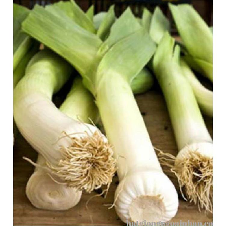 Hạt Giống Tỏi Tây  - 1gr/gói