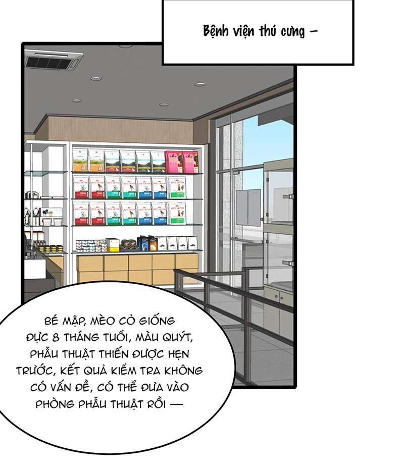 rốt cuộc bé mèo đang nghĩ gì ? chapter 14 22