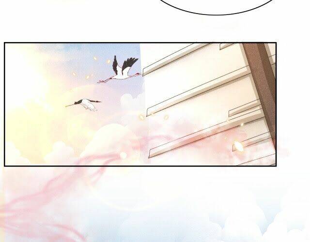 hắc hóa nam chính trực tuyến nuôi thỏ chapter 11 5