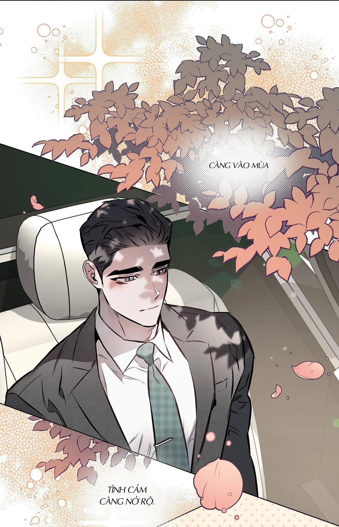 định tên mối quan hệ chapter 29 33