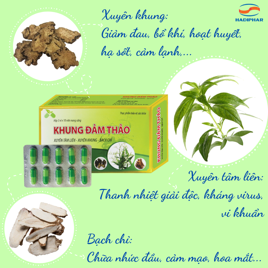 Viên uống KHUNG ĐẢM THẢO Hộp 30 viên - Xuyên tâm liên - Xuyên Khung - Bạch Chỉ - Hổ trợ giảm ho - Đau Rát họng - Giảm cảm cúm