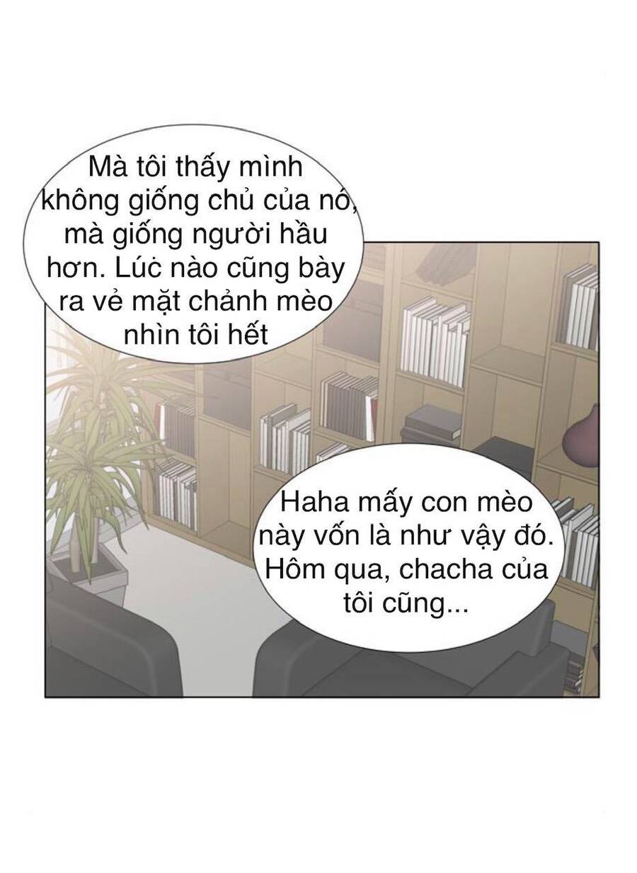 idol và sếp, em yêu ai? chapter 24 22