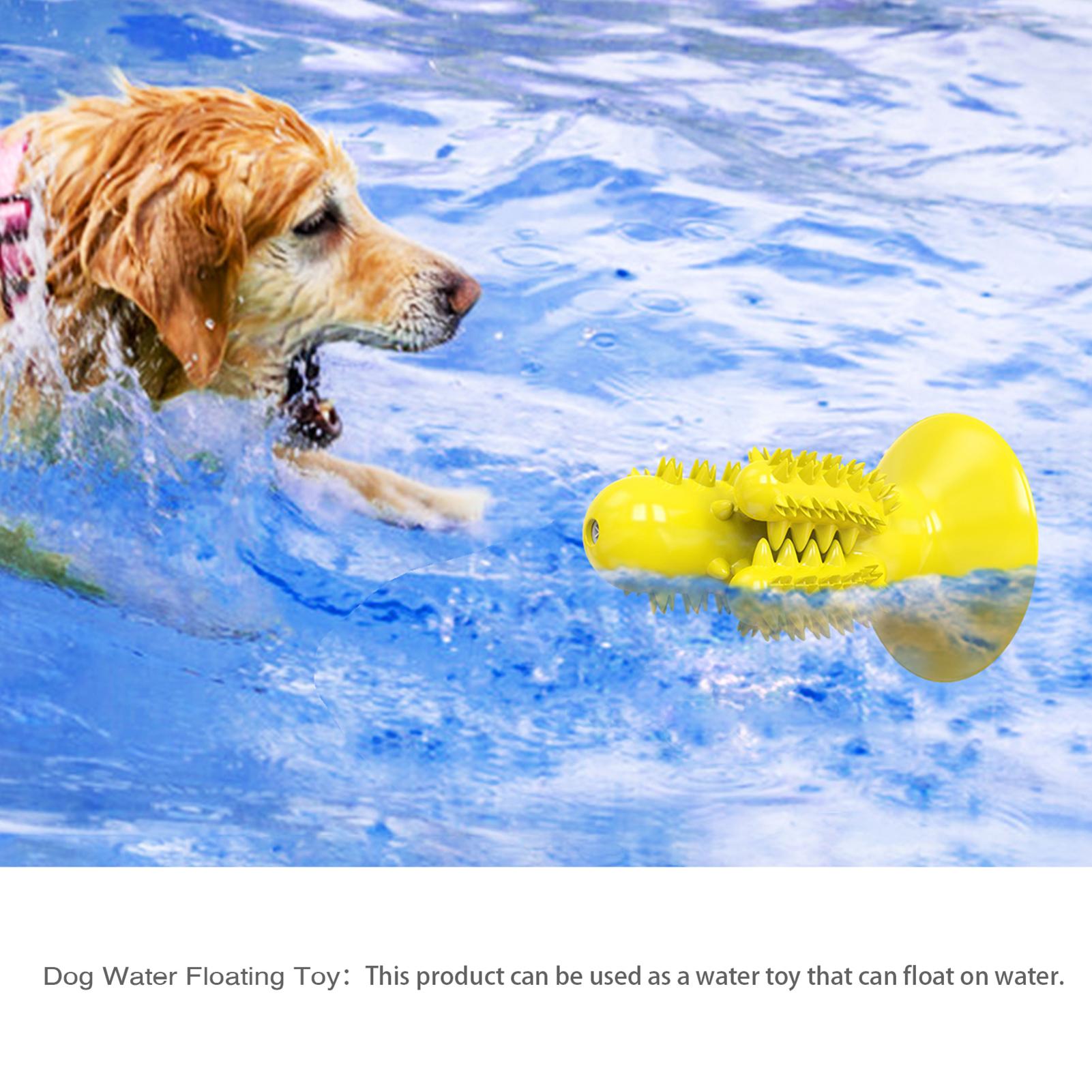 Đồ chơi cho thú cưng