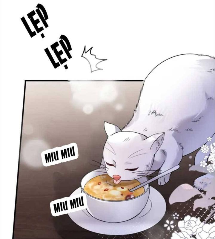 đại tiểu thư có thể có bụng dạ gì xấu chứ! (full) chapter 176 64