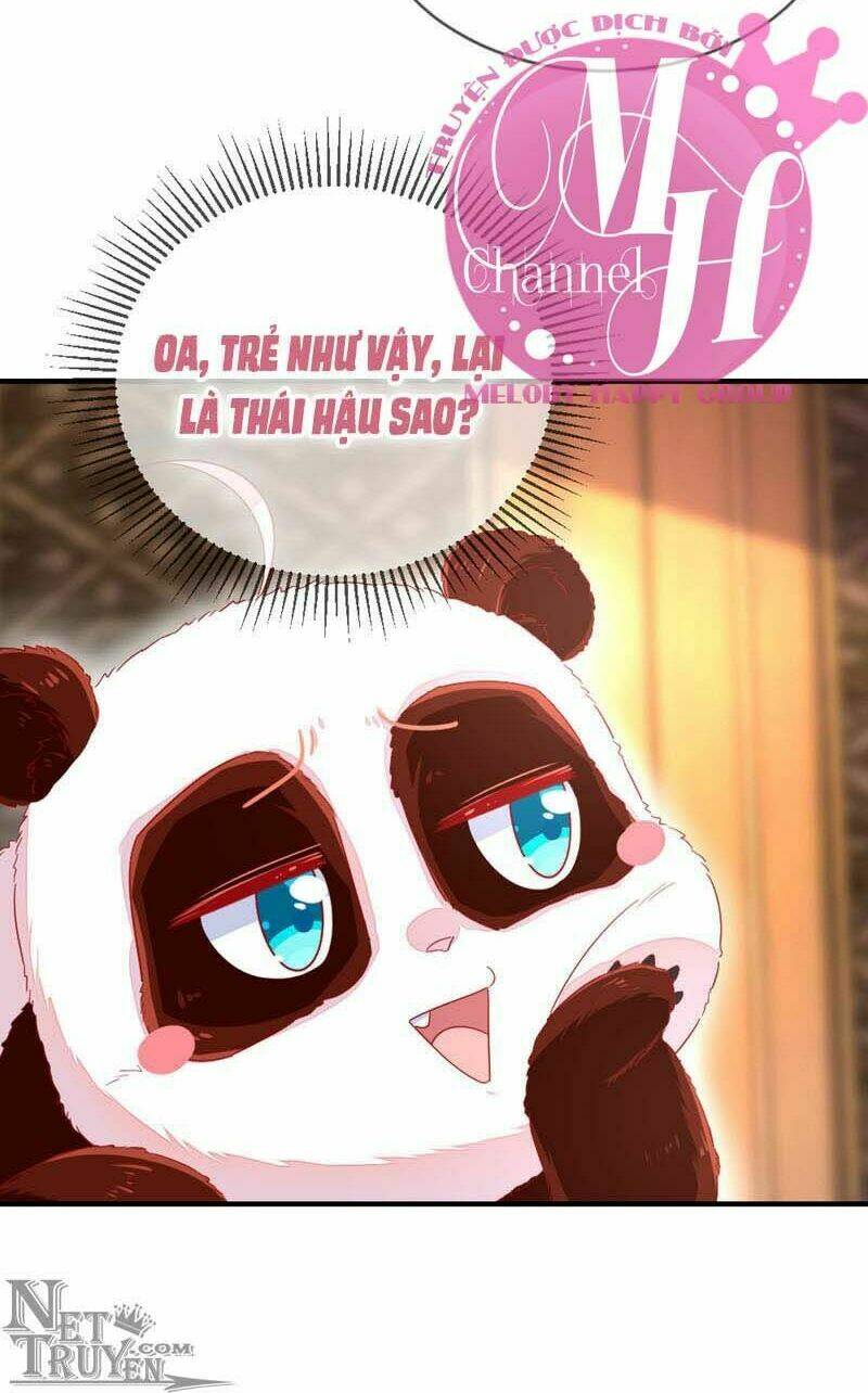 thiên thần gấu trúc muốn được ôm chapter 42 20