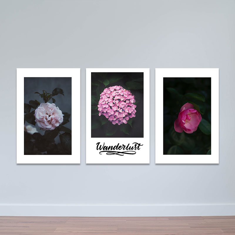 Bộ 3 tranh trang trí &quot;Hoa hồng và cẩm tú cầu&quot; | Tranh treo tường hoa lá W3423 Canvas