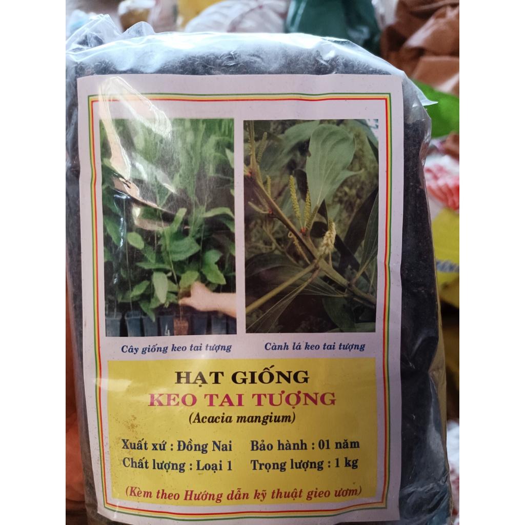 500 gram hạt giống keo tai tượng trồng rừng, lấy gỗ, cải tạo đất