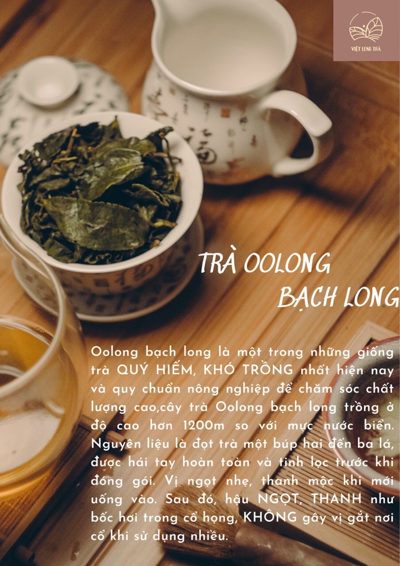 TRÀ Ô LONG BẠCH LONG - TRÀ ĐẸP DA HỖ TRỢ GIẢM CÂN - TIÊU HÓA TỐT - ORGANIC OOLONG TEA - 100G