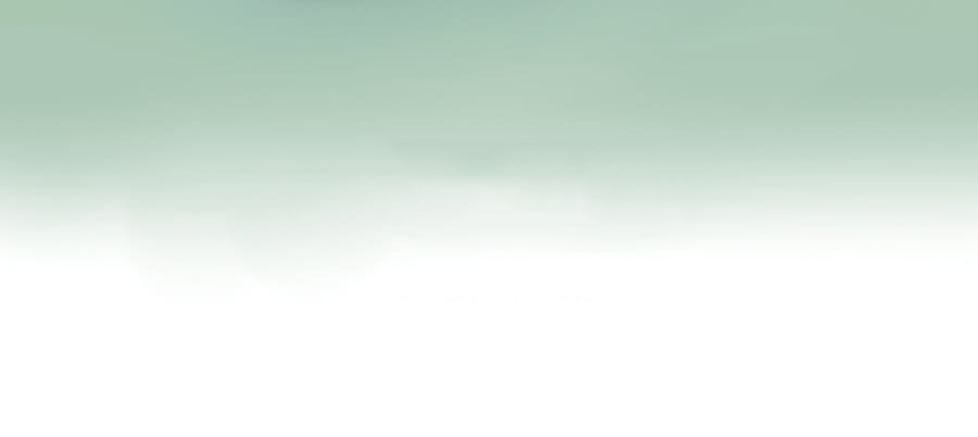 quý tiết của an quyển chapter 11.5 2