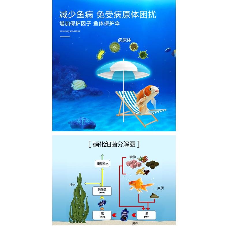 Vi sinh Biozym Nitrifying Bacteria cho nước ngọt và nước mặn- vi sinh cao cấp-phụ kiện thủy sinh-shopleo