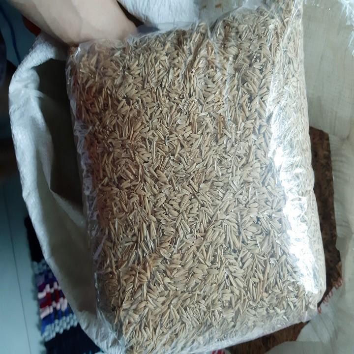 Vỏ trấu tươi trồng LAN ,rau ,hoa, thủy canh, chăn nuôi - gói 1 kg
