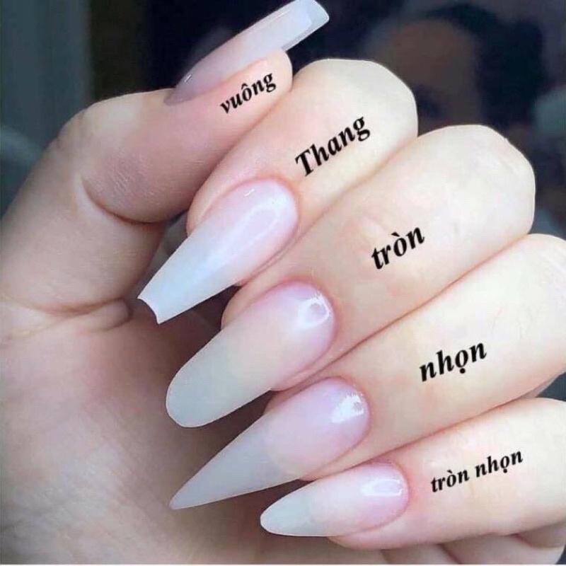 Nailbox thiết kế 015