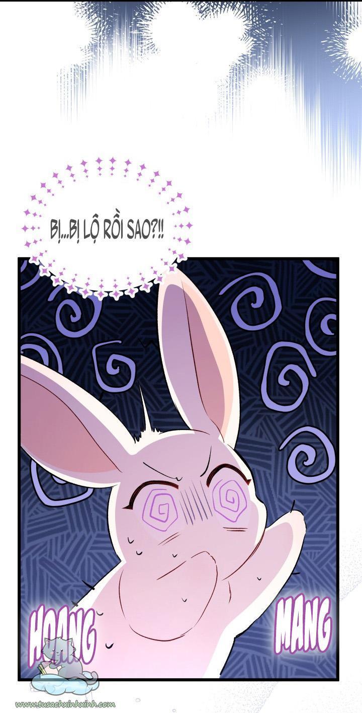quan hệ cộng sinh giữa báo đen và thỏ trắng chapter 45 64